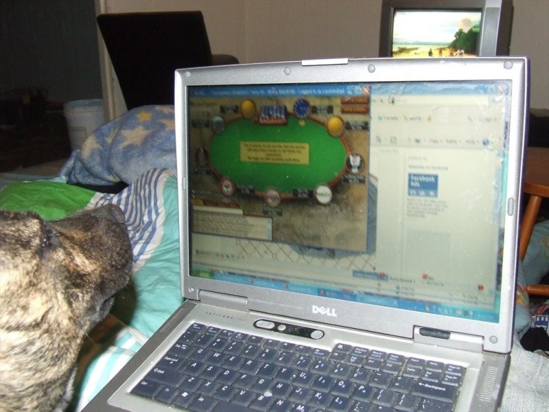 382 Marshall Road, Tarragindi QLD 4121