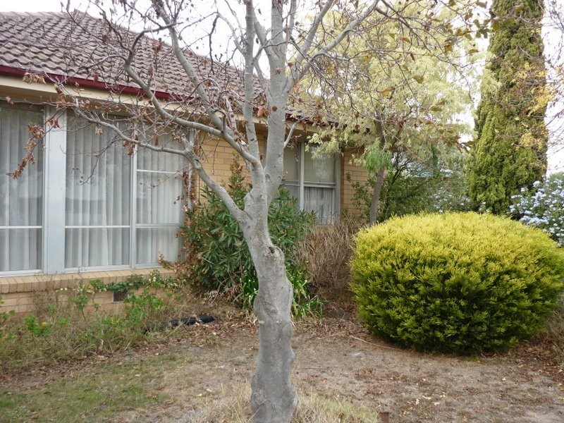 Olney  Ave, East Geelong VIC 3219