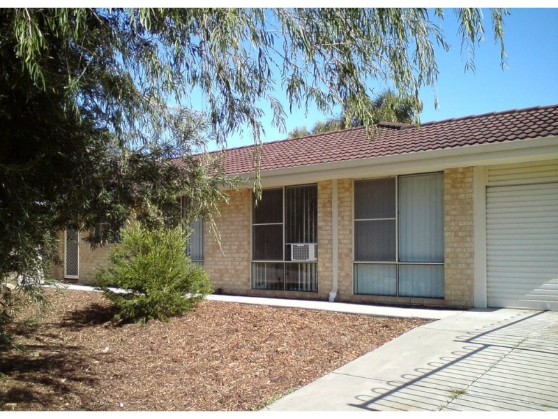 Hardy, Ashfield WA 6054