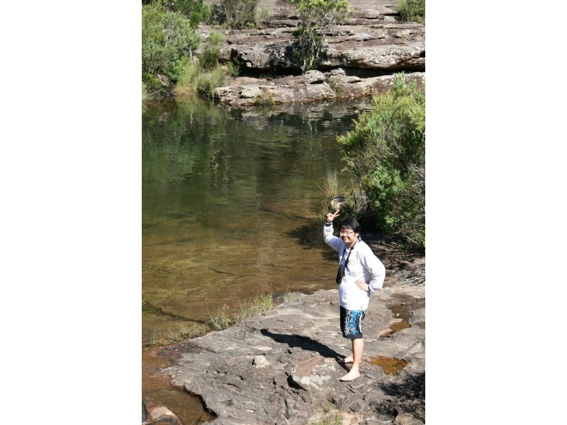 Willis, Kingsford NSW 2032