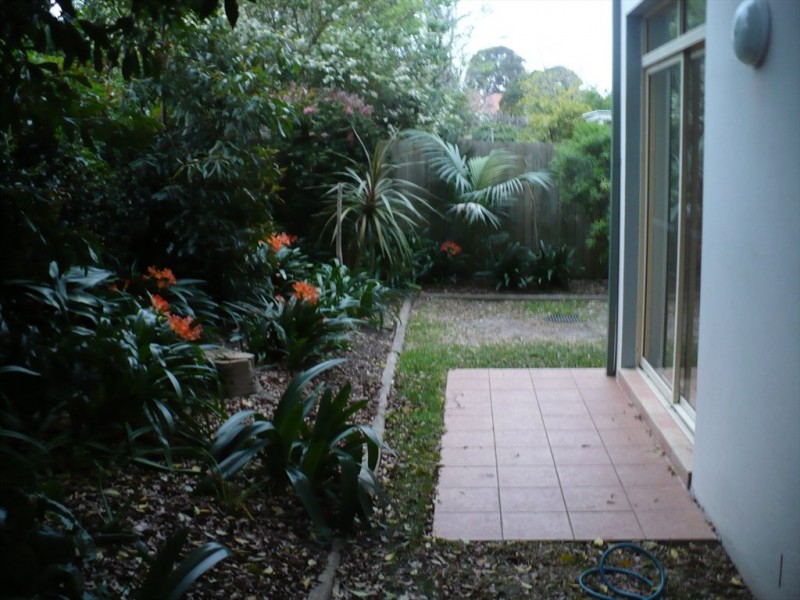 perouse  road, Randwick NSW 2031