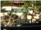 Gatton Street, Parramatta Park QLD 4870