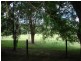 Brown Pde, Ashgrove QLD 4060