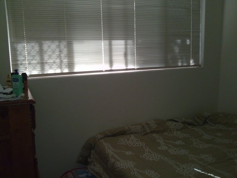 54 jackson Street, Hamilton QLD 4007