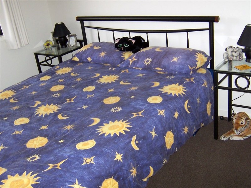 Silvereye Circuit, Landsborough QLD 4550