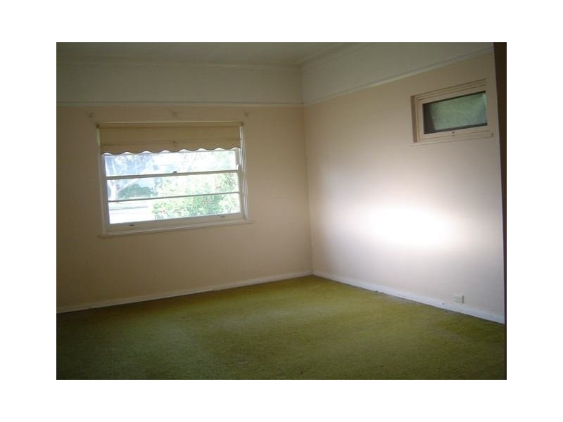 Palm Rd, Newport NSW 2106