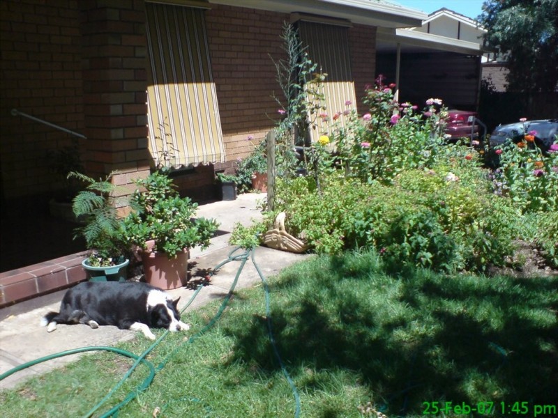 Lantana Drive, Parafield Gardens SA 5107