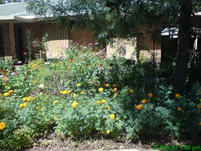 Lantana Drive, Parafield Gardens SA 5107