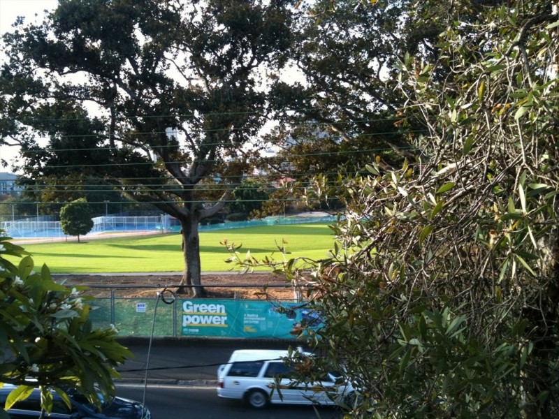 cleveland, Redfern NSW 2016