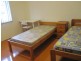 Oakura Street, Rockdale NSW 2216