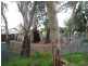 Northeast Road, St Agnes SA 5097
