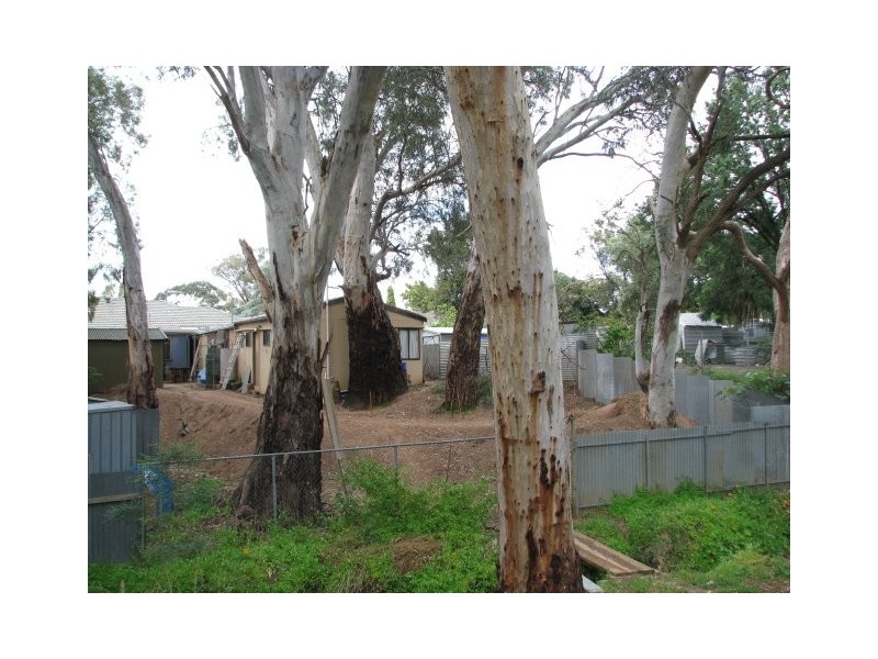 Northeast Road, St Agnes SA 5097