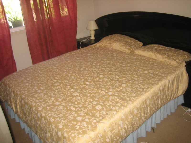 warbler parade, Varsity Lakes QLD 4227