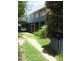 Staghorn, Enoggera QLD 4051