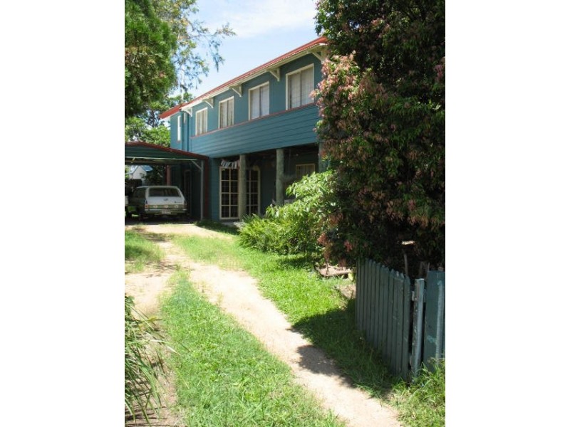 Staghorn, Enoggera QLD 4051