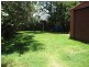 Staghorn, Enoggera QLD 4051