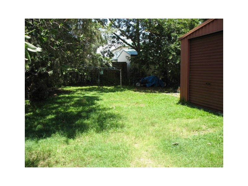 Staghorn, Enoggera QLD 4051