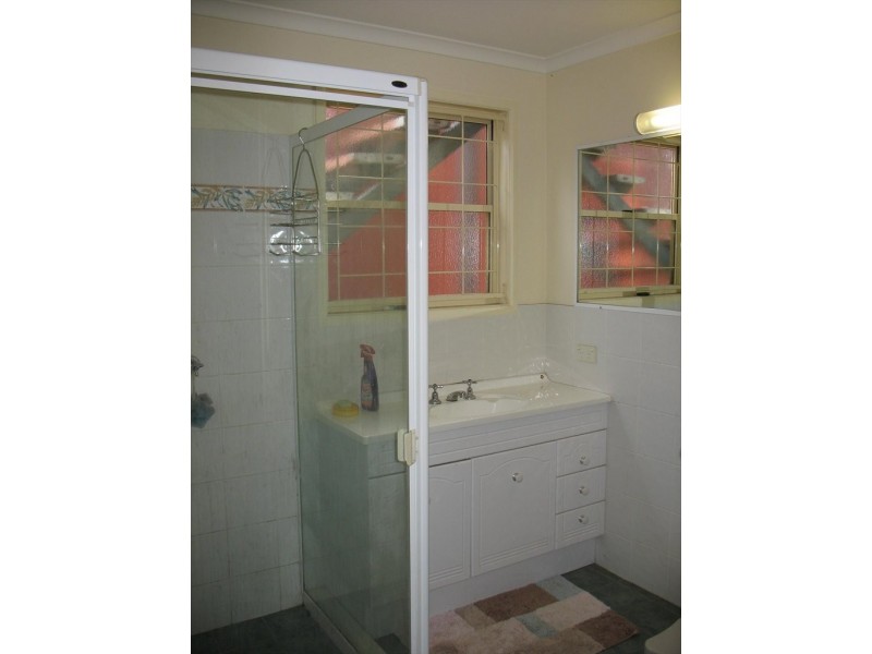 Staghorn, Enoggera QLD 4051