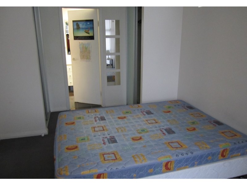 Potter Street, Waterloo NSW 2017