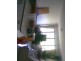 Cootamundra Drive, Mountain Creek QLD 4557