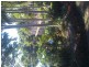 Santa Cruz Blvd, Clear Island Waters QLD 4226