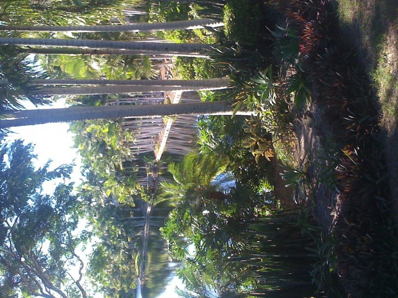 Santa Cruz Blvd, Clear Island Waters QLD 4226