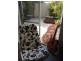 Moulden Ave, Perth WA 6000