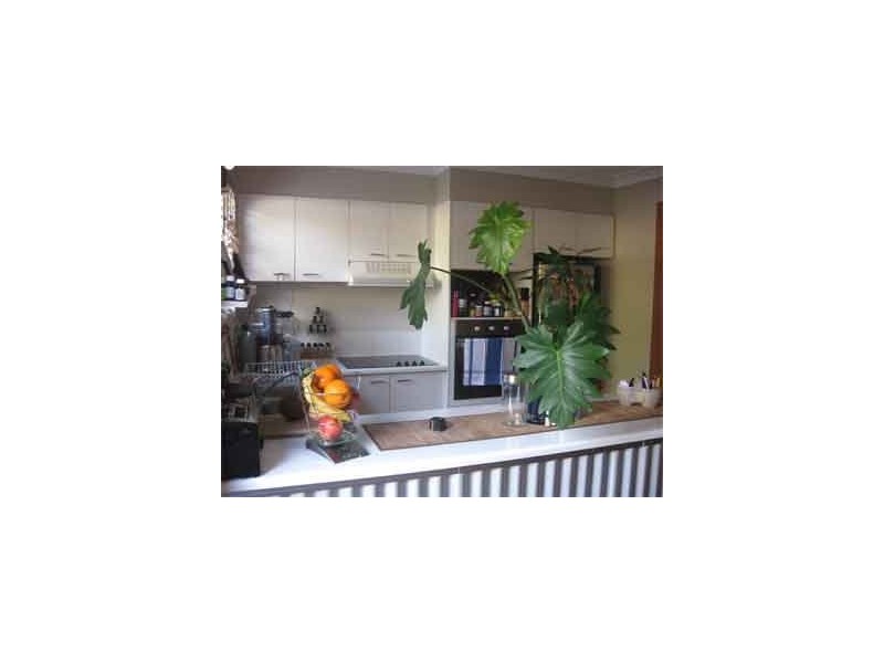 Binya Avenue, Coolangatta QLD 4225