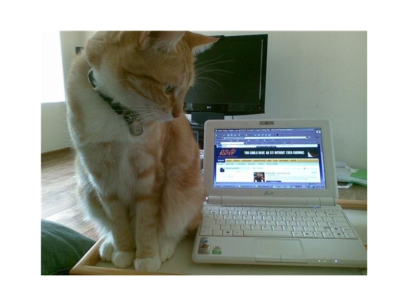 Pola Street, Dianella WA 6059