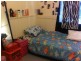 elim place, Chippendale NSW 2008