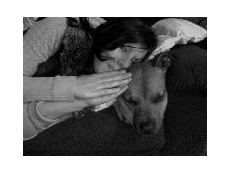 Park Rd, Yeronga QLD 4104