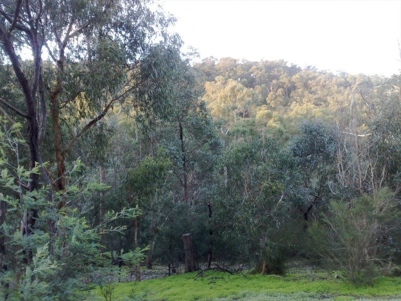 Husseys Lane, North Warrandyte VIC 3113