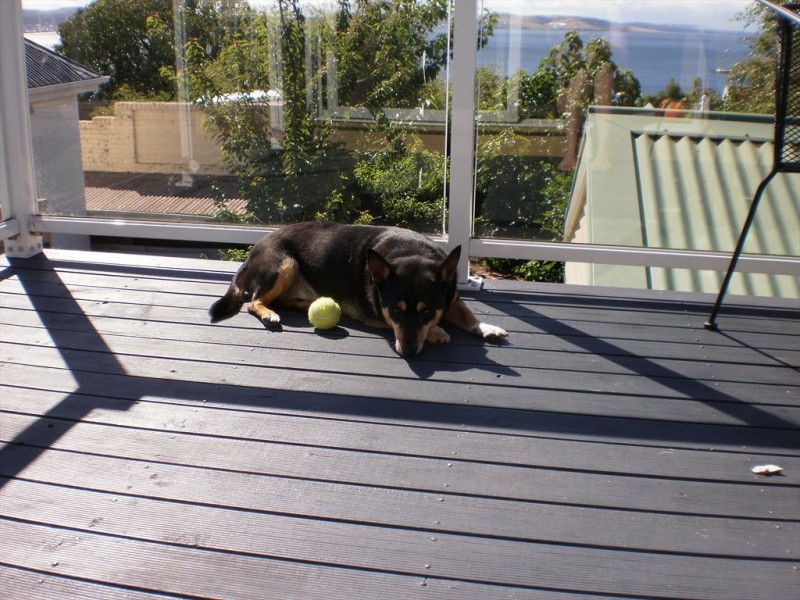 St David Street, North Geelong VIC 3215