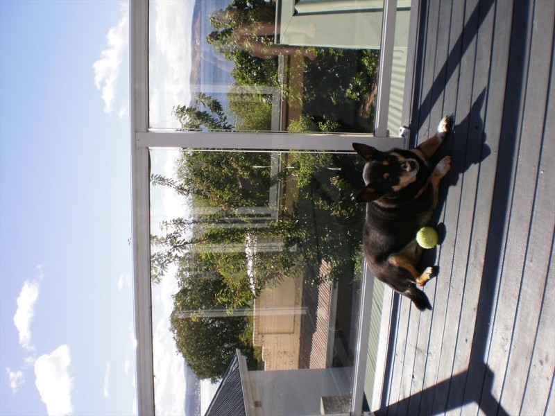 St David Street, North Geelong VIC 3215