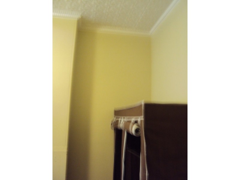 bellevue street, Surry Hills NSW 2010