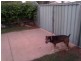 Milner Road, Gillen NT 0870