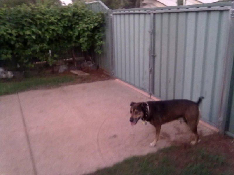 Milner Road, Gillen NT 0870