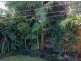 Collins Street, Woody Point QLD 4019