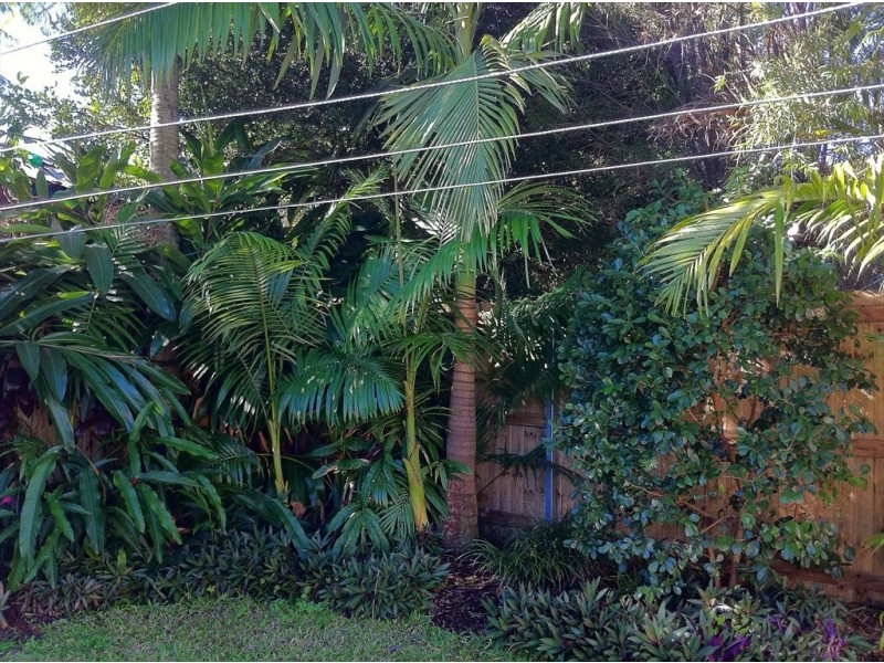 Collins Street, Woody Point QLD 4019