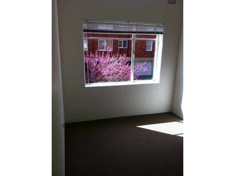 Crows Nest Road, Waverton NSW 2060