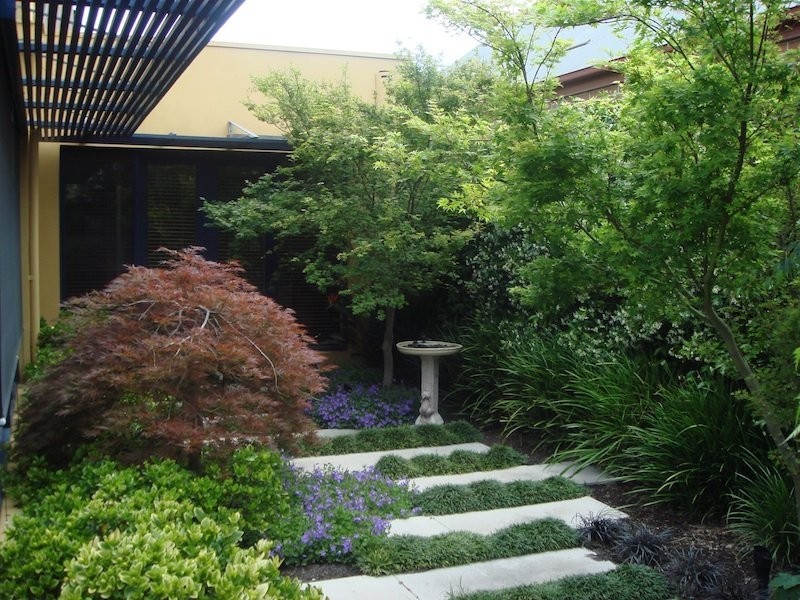 Kelso Street, Mentone VIC 3194