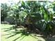 Dolphin Close, Kewarra Beach QLD 4879
