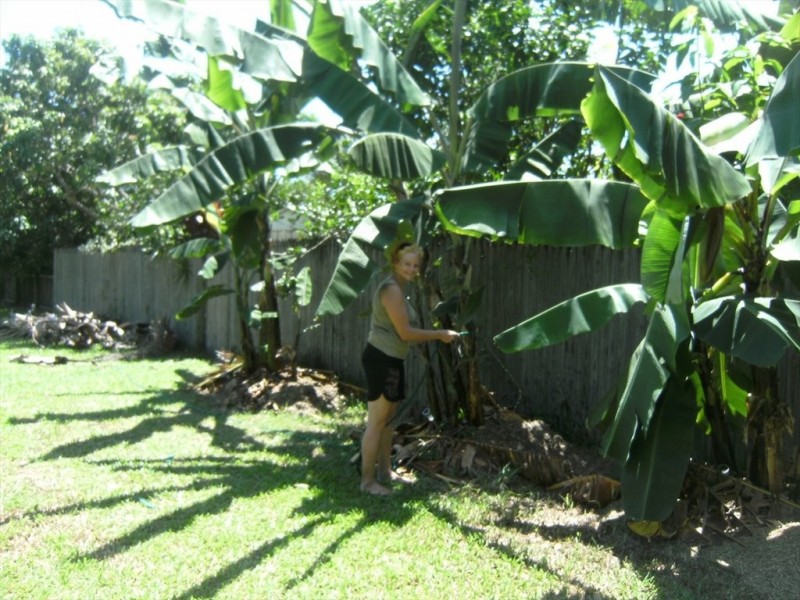 Dolphin Close, Kewarra Beach QLD 4879