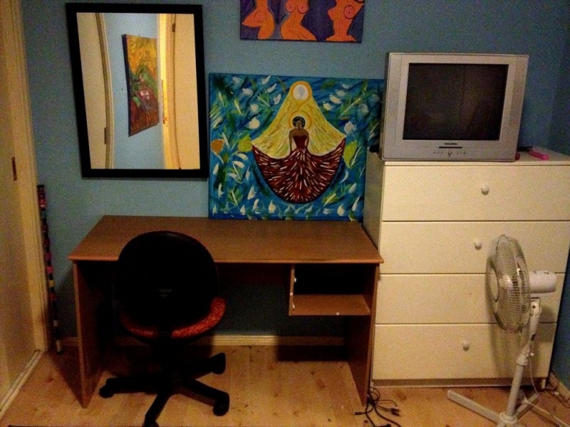 kissing point road, Dundas NSW 2117