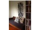Exeter st, Ashgrove QLD 4060