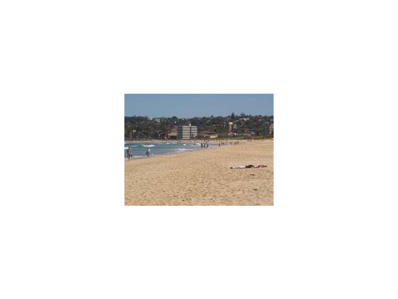 Avon Road, Dee Why NSW 2099