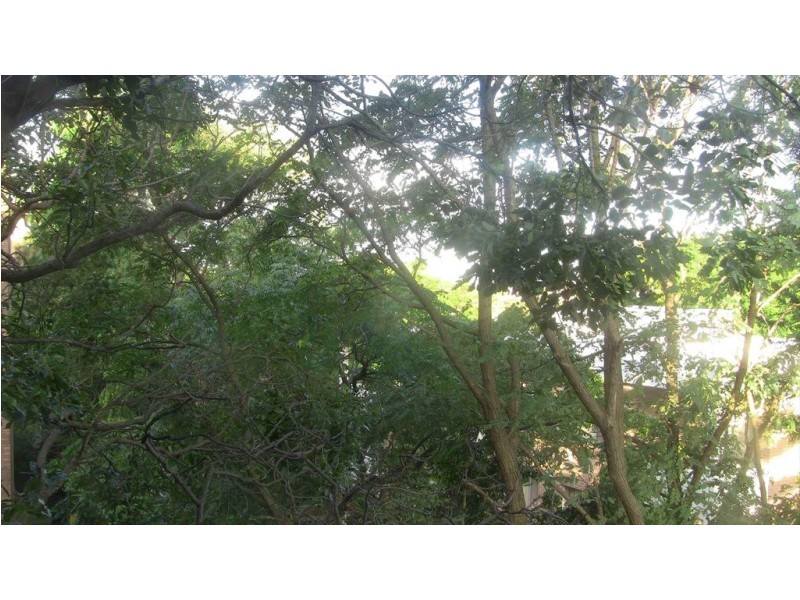 Birriga Road, Bellevue Hill NSW 2023