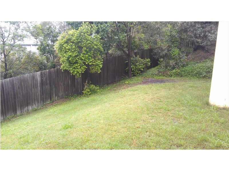 Stormbird Place, Carrara QLD 4211