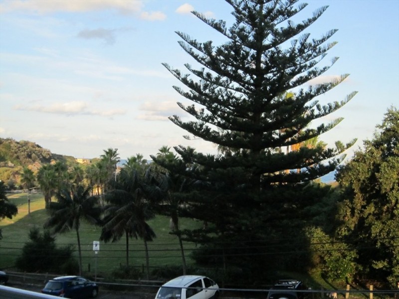 Moore Rd, Freshwater NSW 2096