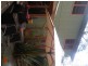 Walkers crescent, Emu Plains NSW 2750